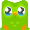 Duolingo 5
