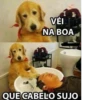 Dogs cute ( @Aestelar ) 14