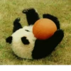Funny panda😄 12