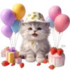 Gato bebé💞4🇵🇪Clásica 15