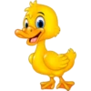 DUCKLINGS 15