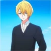 Aquamarine Hoshino Pack 10 16