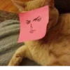 Favorite stickers :: 8