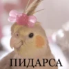 mood 16