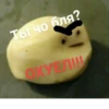 Типо мемы (Created By: ) 8