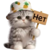 Gato bebé💞4🇵🇪Clásica 17