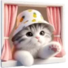 Gato bebé💞4🇵🇪Clásica 19