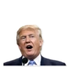 Donald Trump’d 12