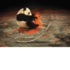 Funny panda😄 19
