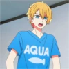 Aquamarine Hoshino Pack 15 20