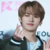 stray kids is the best 20