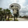 Funny panda😄 23