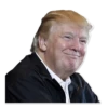 Donald Trump’d 17