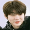 Enhypen Sunghoon Memes 22