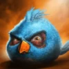 Angry Birds Realista 14