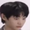 Enhypen Sunghoon Memes 25