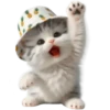Gato bebé💞4🇵🇪Clásica 22