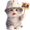 Gato bebé💞4🇵🇪Clásica 23