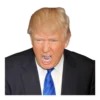 Donald Trump’d 22