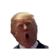 Donald Trump’d 23