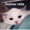 Люблю тебя