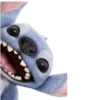 Stitch 💙 16