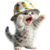 Gato bebé💞4🇵🇪Clásica 25