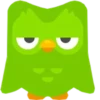 Duolingo 7