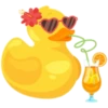 DUCKLINGS 26