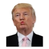 Donald Trump’d 25