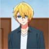 Aquamarine Hoshino Pack 10 30