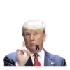 Donald Trump’d 26