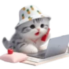 Gato bebé💞4🇵🇪Clásica 26