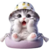Gato bebé💞4🇵🇪Clásica 27