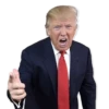 Donald Trump’d 27