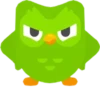 Duolingo 9