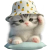 Gato bebé💞4🇵🇪Clásica 28