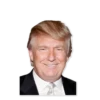 Donald Trump’d 28