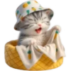 Gato bebé💞4🇵🇪Clásica 30