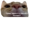 Favorite stickers by 6