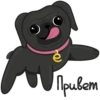 Eva The Pug by 6