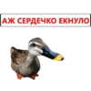 АЖ СЕРДЕЧКО ЕКНУЛО