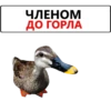 ЧЛЕНОМ ДО ГОРЛА