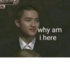 정부 why am i here