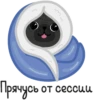 Eva The Pug by 10
