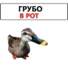 ГРУБО B POT