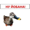 НУ ЙОБАНА!