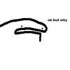 Florkofcows 11