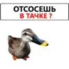 ОТСОСЕШЬ В ТАЧКЕ ?