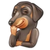 Dog it! 7